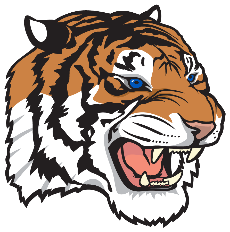 Tennessee State Tigers 2021-Pres Throwback Logo DIY iron on transfer (heat transfer)